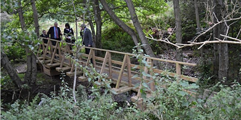 Bridge through wildlife reserve