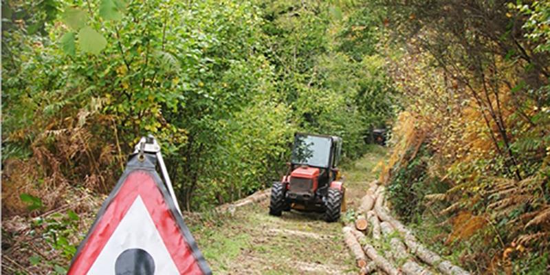 Tractor in woods