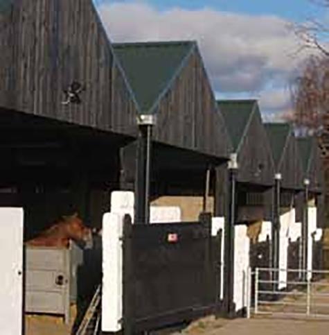 Stables