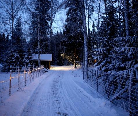 Snowy exterior christmas scene