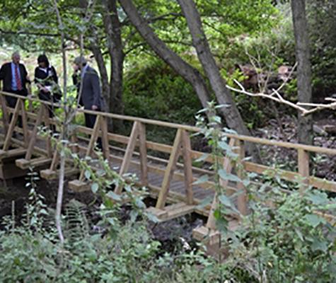 Bridge through wildlife reserve