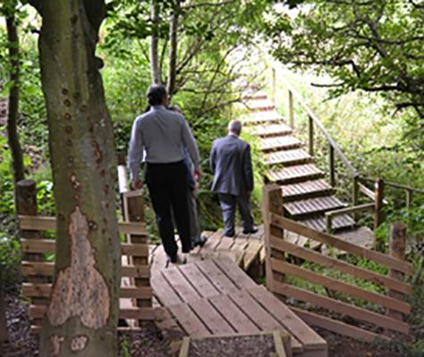 Walkway through wildlife reserve