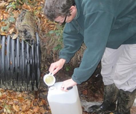 Watering beavers