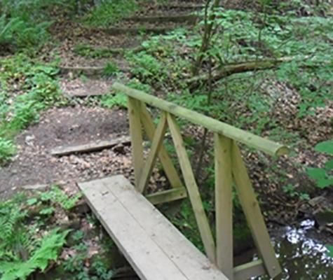 Wooden bridge and hand rail