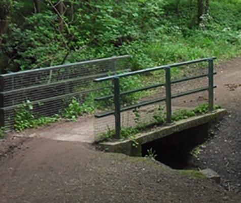 Bridge with hand rail