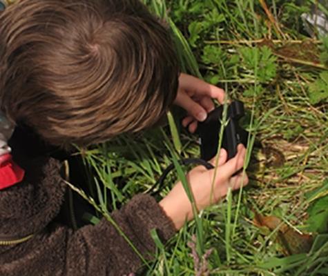 Taking a picture of wildlife