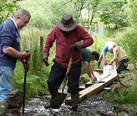 Construction of boardwalk